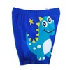NautySaurs Boys Swimming Trunks 2-11 Years Baby Boys Swimwear Kids