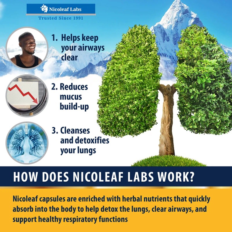 Nicoleaf Labs Smoker's Cleanse 60 Cápsulas Ayuda Fumar