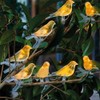 YZYOE 8 Packs of Solar Powered Bird Lights, Garden Decoration