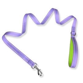 PHOEPET 5 Feet Dog Leash - Dual-Side Reflective - Soft Padded Handle - Fit for Walking, Training or Exploring Hiking, Camping (Baby Purple + Green Base)