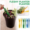 Mini Garden Hand Succulent Transplanting Tools,Widger Plastic Seedlings Dibber Sowing