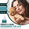 Cat Pheromones Calming Diffuser Refill 6 Pack Enhanced Pheromone Refills