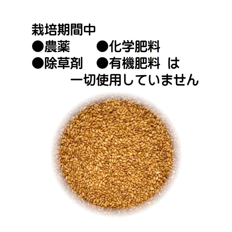 Domestic Gold Sesame, 10.6 oz (300 g), Roasted