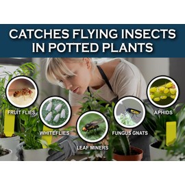 MAXGUARD (30 Pack) YELLOW STAKE STICKY INSECT/BUG TRAPS - Catch and Kill Fungus Gnats, Whiteflies, Mosquitos, Aphids, Leaf Miners, Flying Insect Catcher Glue Trappers for Indoor or Outdoor