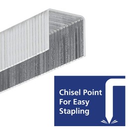 WORKPRO Heavy Duty T50 7500-Count Staples and Brad Nails Combo Kit, Galvanized for Upholstery, Woodworking and Home Renovations