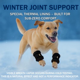 LovinPet Dog Leg Braces, Adjustable Ankle/Hock Wraps for Front & Back Legs, Back Leg Support Brace, Recovery & Mobility Aid, Joint Stability Support, 2 Pack, Fits Medium & Large Dogs, Black