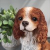 Vivid Arts - King Charles Spaniel - XRL-KING-D