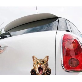 MAKTEM Funny Freaking Out 3D Dog Car Decal - Hilarious Dog and Cat Auto Decor - Realistic Dog Car Art for Window Bumper Side Mirror (Kitty CAT)