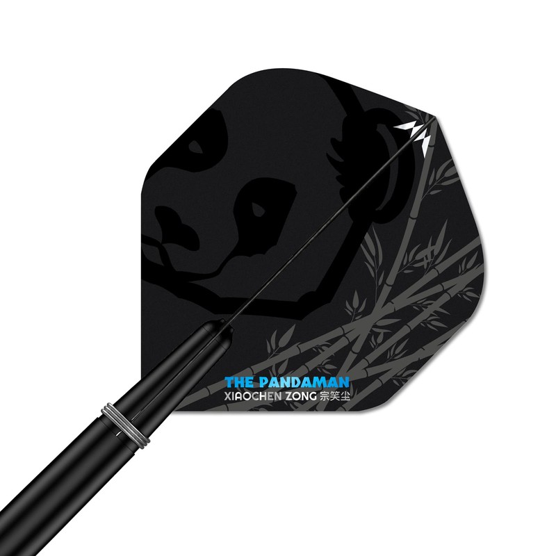 Mission Xiaochen Zong NO2 Dart Flights