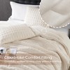 Amélie Home Plush Fleece Comforter Set Queen Size, Cream White