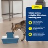 PetSafe Drinkwell Avalon & Pagoda Fountain Activated Carbon Filters -