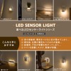 Iris Ohyama CSL-IS LED Sensor Light, Outlet Type, Footlight, Light