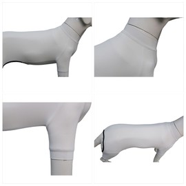 LoveLongLong Dog Jumpsuit with UV Protection and Quick-Dry Fabric for Spring Summer Pet Pajamas White 3XL