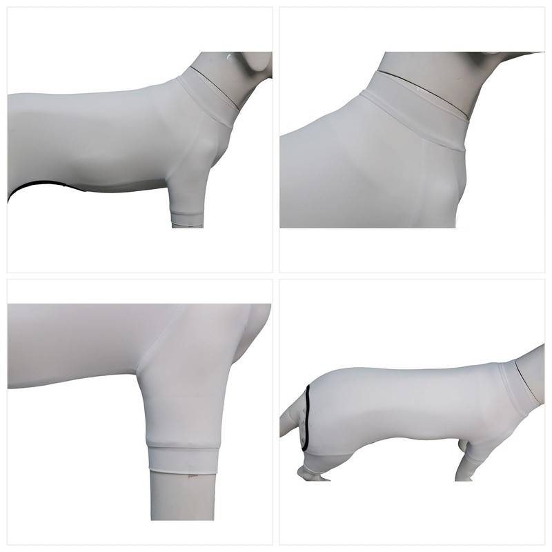 LoveLongLong Dog Jumpsuit with UV Protection and Quick-Dry Fabric for