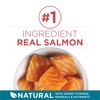 Purina ONE Natural Dry Cat Food, Tender Selects Blend With