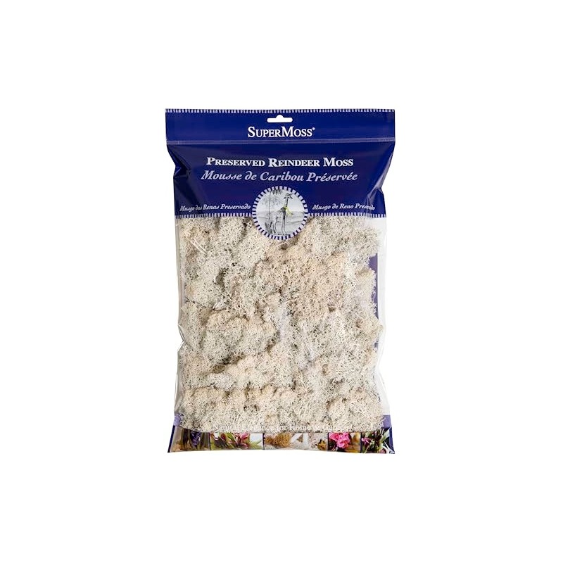 SuperMoss (23193) Reindeer Moss Preserved, White, 8oz Bag