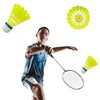 WEZCHUGHAOL 12 Pack Nylon Badminton Shuttlecocks - High Durability Aeroplane
