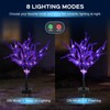 TANSOREN 2 Pack Solar Garden Lights Outdoor, 8 Lighting Modes