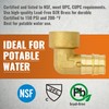 SUNGATOR 2-Pack PEX A Expasnion 3/4"x 3/4" Female NPT Elbow