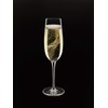 Luigi Bormioli Aero 8 oz Flute for Sparkling Wine/Champagne/Prosecco/Cava/Lambrusco Glasses