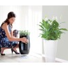 elho Floorprotector Round 18 - Accessories for Indoor Use -