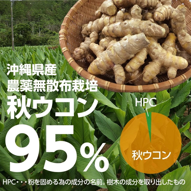 ウコンパワー (袋タイプ) 200mg×3粒× 30包×3袋 沖縄ウコン堂 沖縄県産秋ウコン使用 クルクミン含有 長寿の島・沖縄発のサプリメント