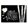 SAKURA Pigma Micron 005 .01. 03 Gelly Roll White, 3
