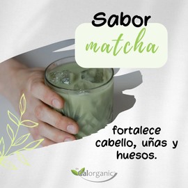 Sagalorganic. Colágeno Hidrolizado. Adicionado con Matcha y Vitamina C. 500 Gramos.