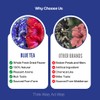 BLUE TEA - Combo Pack - Butterfly Pea Flower Tea