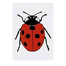 'Beautiful Red Ladybird' Temporary Tattoo - Water Resistant, Skin-Safe, Non-Toxic Transfer (TO00029769)