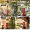 Hummingbird Feeder with Bee Guards and Ant Moat - 16