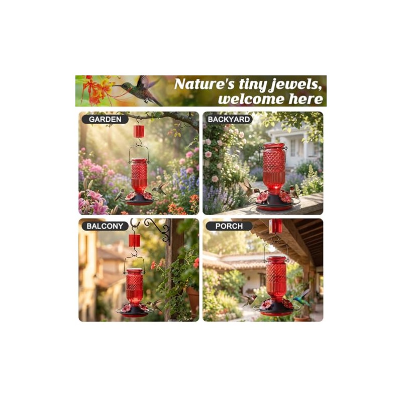 Hummingbird Feeder with Bee Guards and Ant Moat - 16