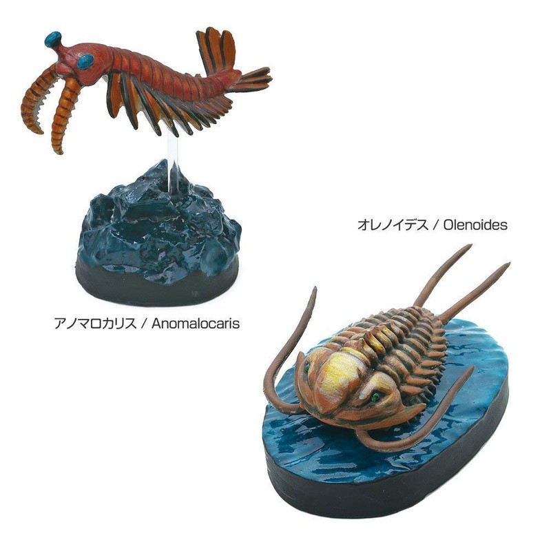 Carolata Paleozoic Biological Figure, 3D Picture Book (Ancient Fish, 6