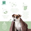 Menforsan Shampoing pour animaux de compagnie Menforsan Chien Aloe Vera
