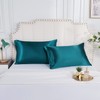 Lirex 2 Pack Satin Pillow Cases, Soft Solid Color Microfiber