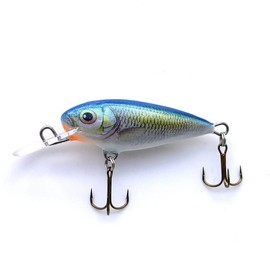 EVERBAY DORADO Wobbler Fishing Lure-Hard Crankbait-Fishing Tackle, Topwater Life-Like Swimbait for Perch Pike Zander Trout Salmon Catfish Chub Barbel Trolling in Freshwater, Sinking - INVADER 4cm B