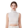 UMIYI Stand Collar, Ruffle Collar, Women's, Layered Style, Faux Color,