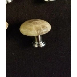 Petoskey Stone Door Knob