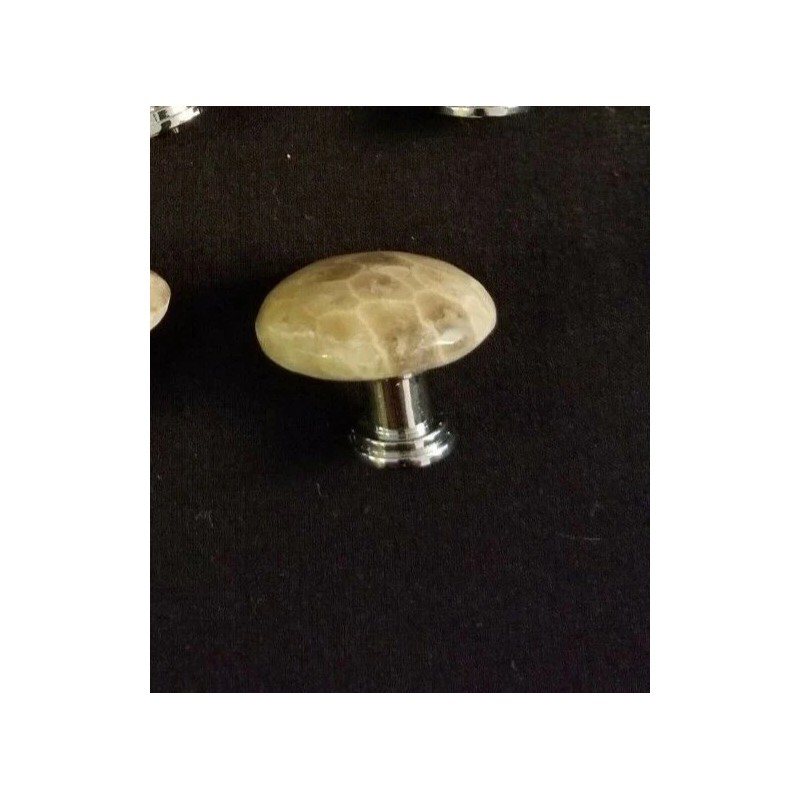 Petoskey Stone Door Knob