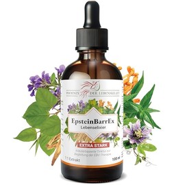 Phoenix der Lebenskraft EpsteinBarrEx Life Elixir - Highly Concentrated Herbal Lexir According to the Buhner Protocol - 8 Different Herbs in 1:1 Extract - Support for EBV
