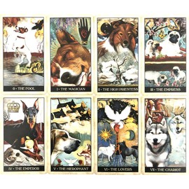 Tarot Cards, 78 Cards, Weighted Edition, Tarot Divination, Wise Dog Tarot, Japanese Instruction Manual Included (English Language Not Guaranteed)