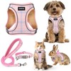 GAMUDA Small Dog Harness Collar and Leash Set, Step in