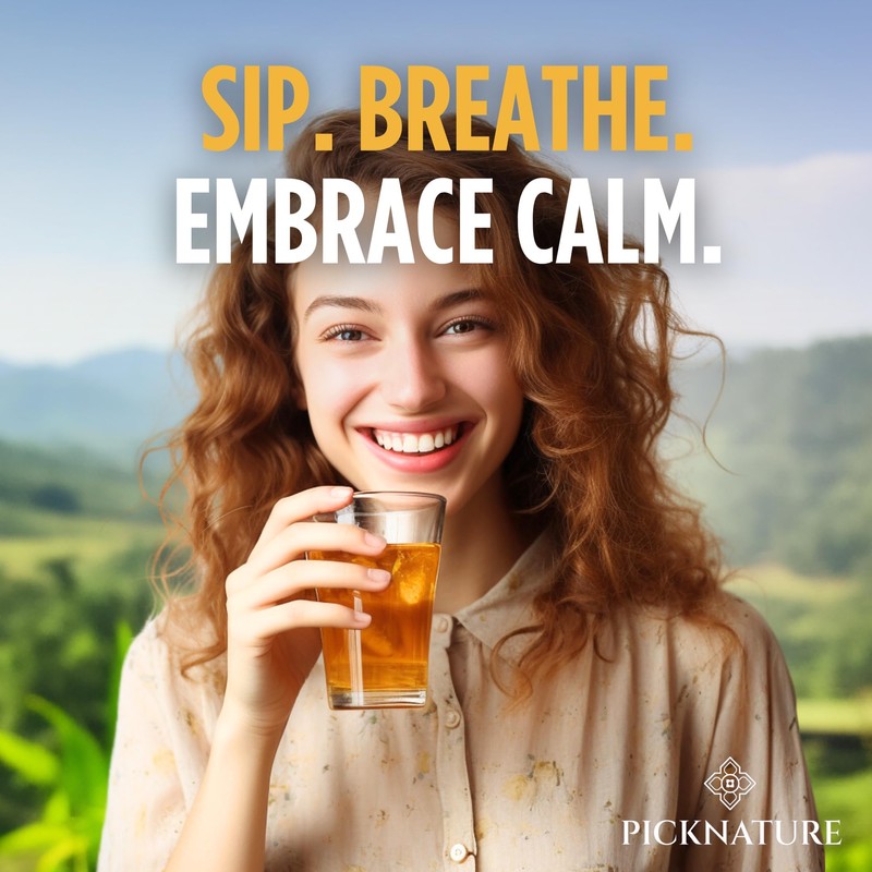 PICKNATURE USDA Organic Happy Tummy Tea - Digestive tea with