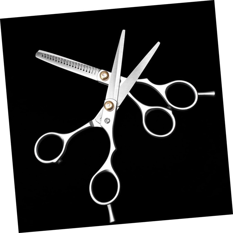 Healvian Stainless Steel Hairdressing Scissors Set 2pcs Flat Teeth Shears