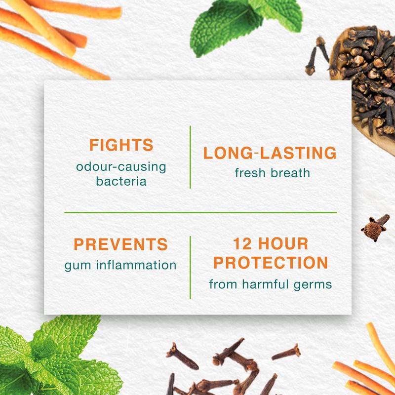 Himalaya Mint Fresh Herbal Tea Toothpaste 75 ml