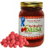Traverse Bay Farms Nationally Award-Winning Salsa (Red Raspberry, 1 Jar)