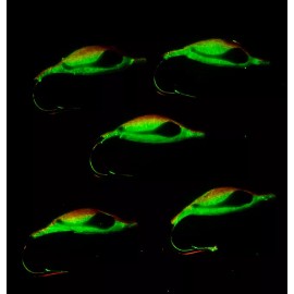 Quality Ice Jigs 5*MOON GLOW*ICE FISHING JIGS* SIZE #10 HOOK*HAND MADE & PAINTED PICK YOUR COLOR - Orange/Pearl Glows White