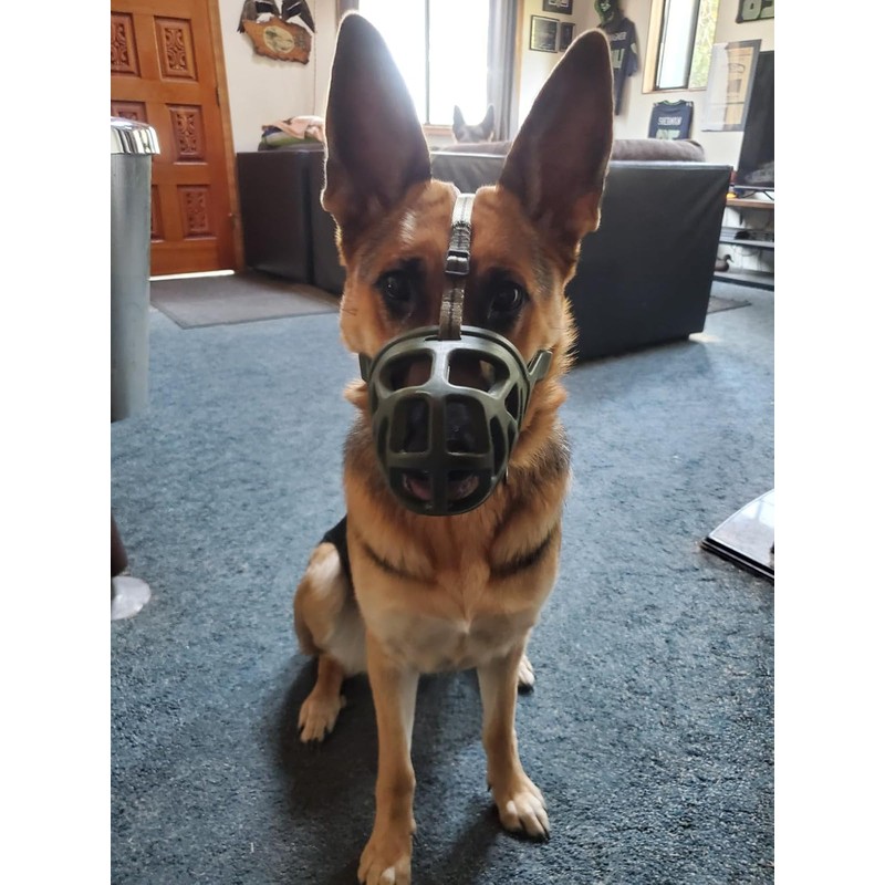 Mayerzon Dog Muzzle, Breathable Basket Muzzles for Small, Medium, Large