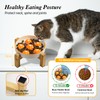 Elevated Slow Feeder Cat Bowls - Raised Cat Food Bowl