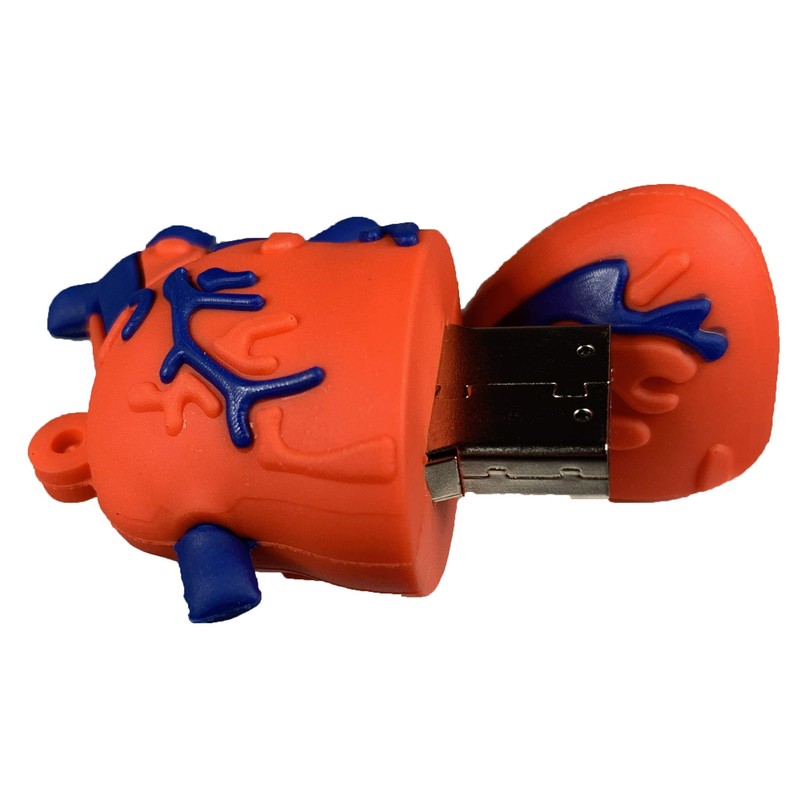 Medical Heart 32GB USB Flash Drive